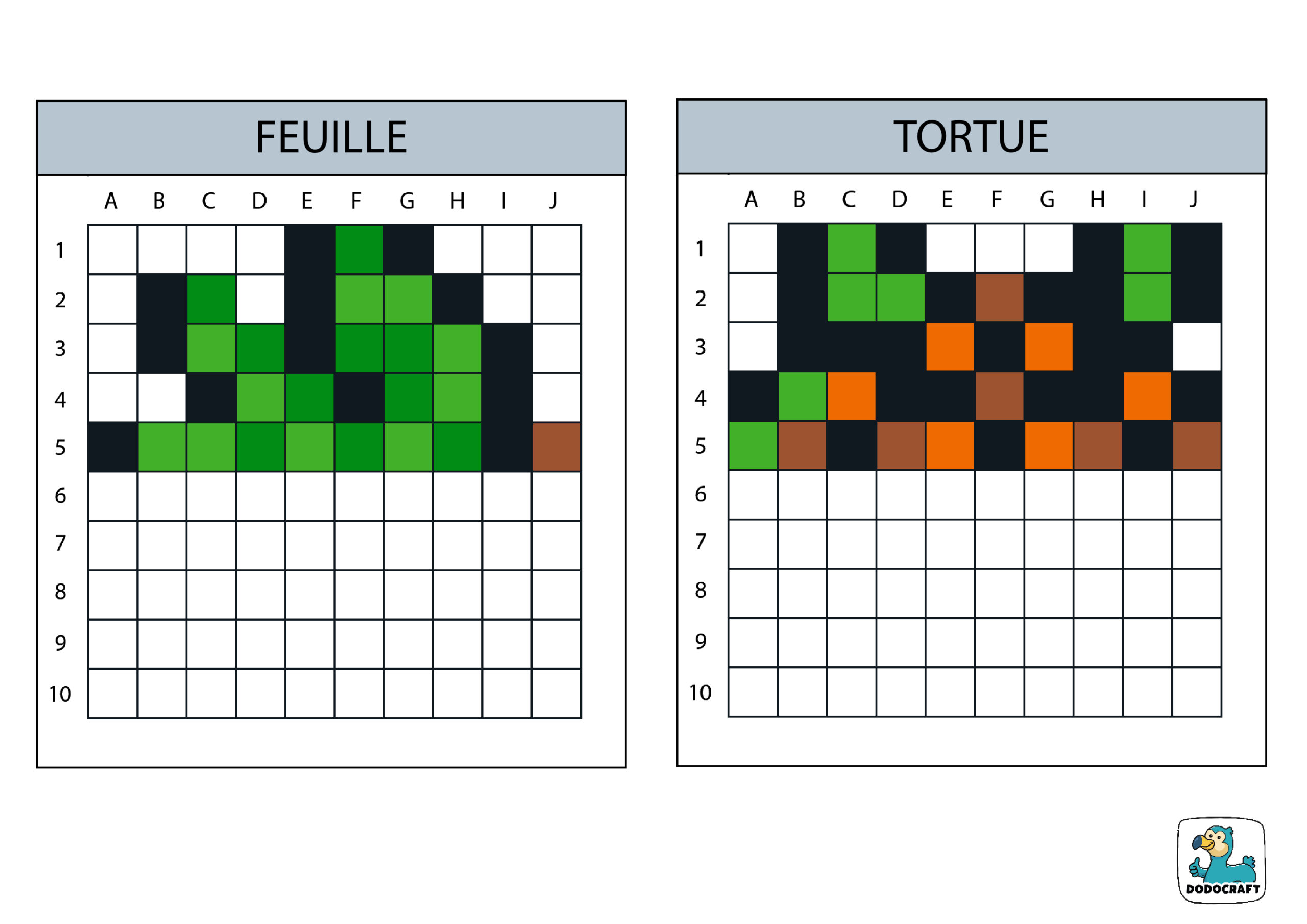 Modèles symétriques : feuille et tortue