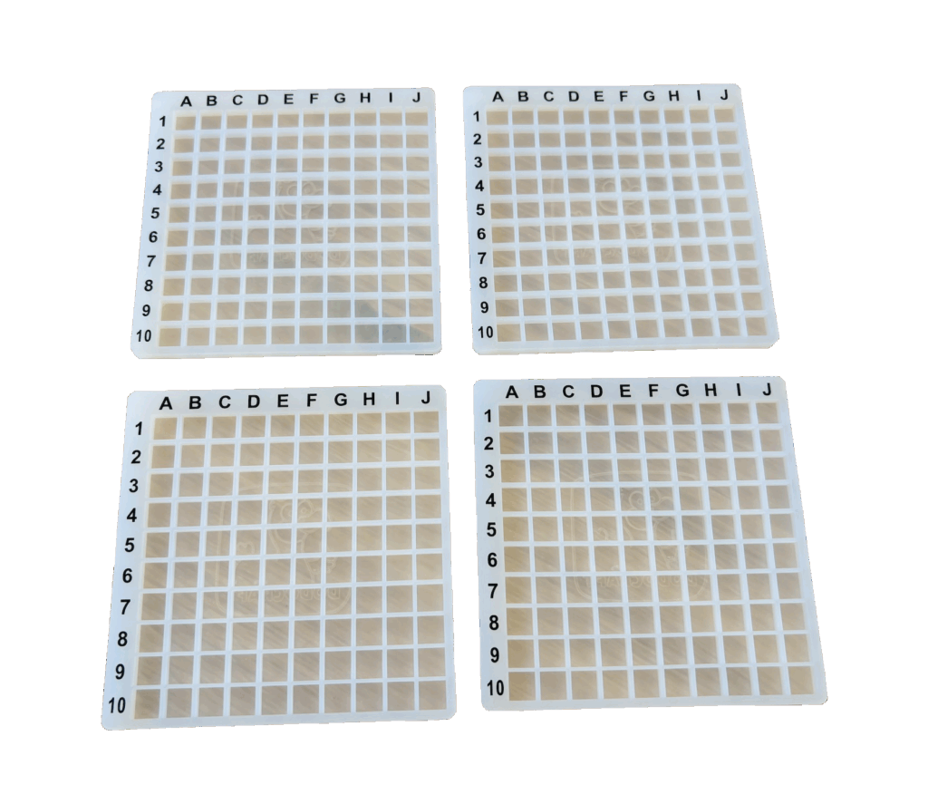 4 Rejillas con Guías 10×10